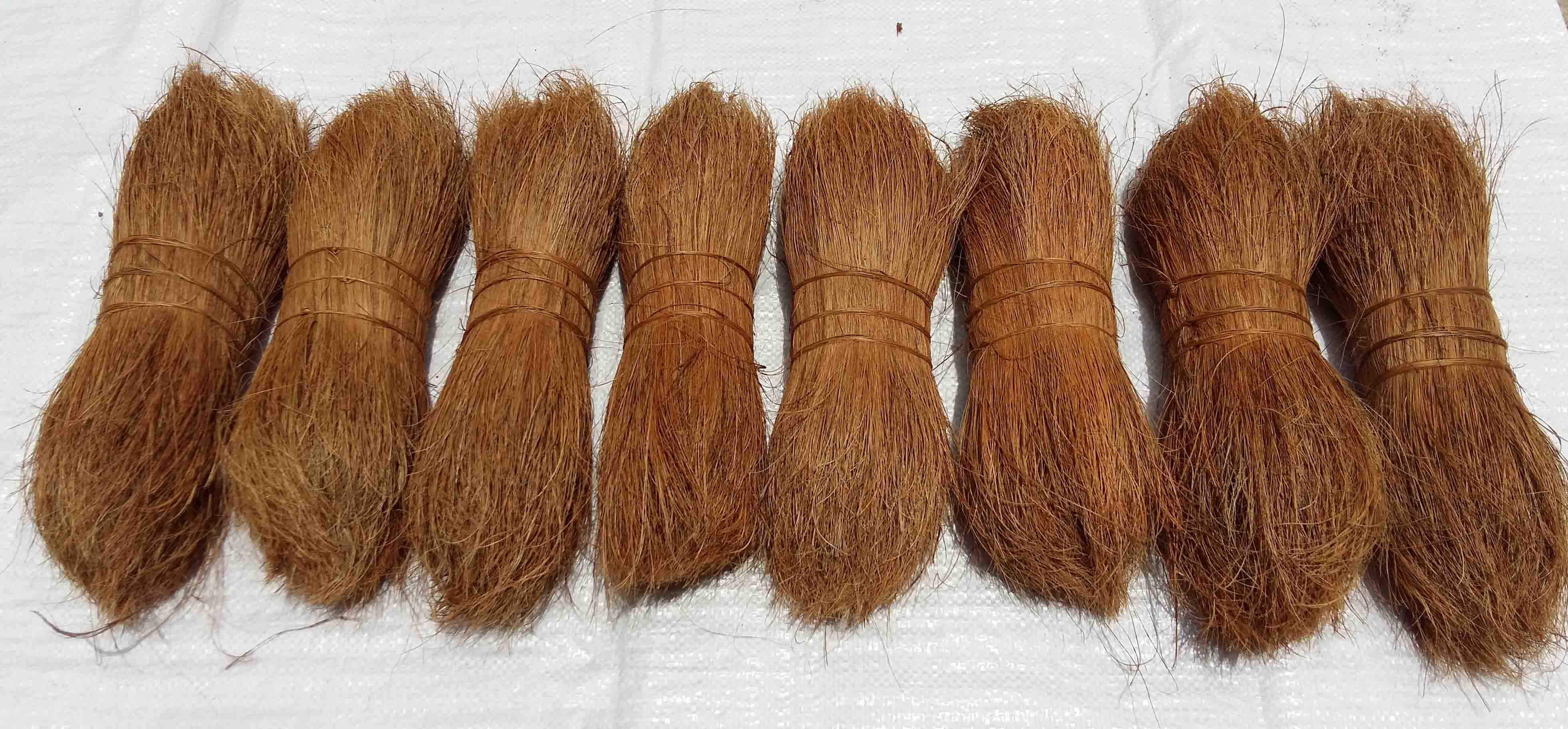 CEYLON COIR FIBRE INDUSTRIES: Bristle Fibre ( Coco Brush Fibre )