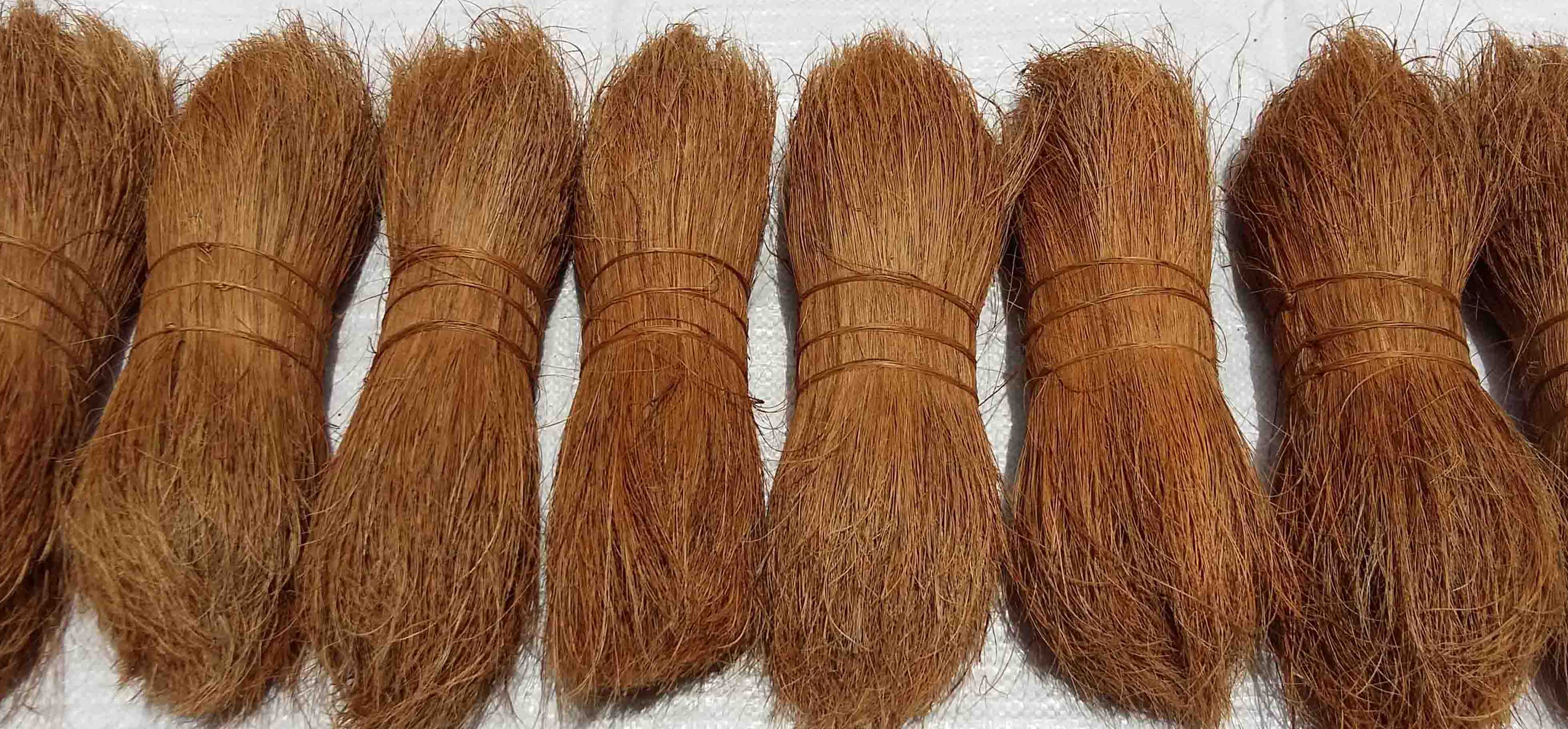 CEYLON COIR FIBRE INDUSTRIES: Bristle Fibre ( Coco Brush Fibre )